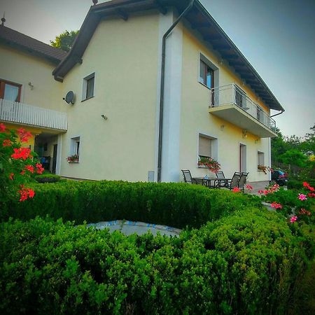 Apartments Ina Рогашка Слатина Экстерьер фото