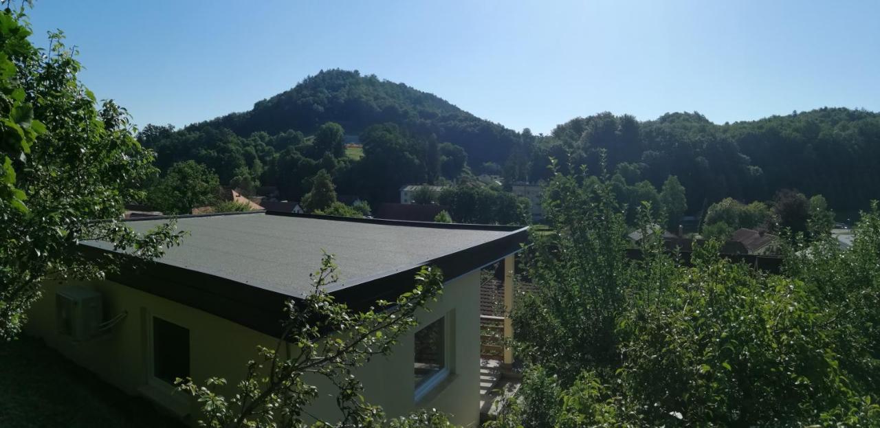 Apartments Ina Рогашка Слатина Номер фото