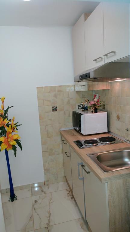 Apartments Ina Рогашка Слатина Экстерьер фото